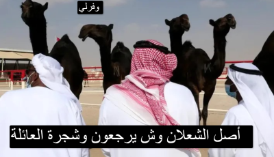 أصل الشعلان وش يرجعون وشجرة العائلة