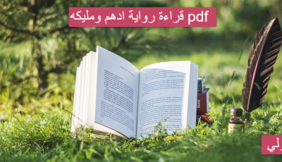 قراءة رواية ادهم ومليكه pdf