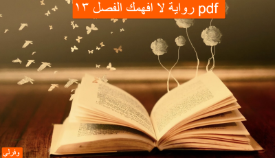 رواية لا افهمك الفصل ١٣ pdf