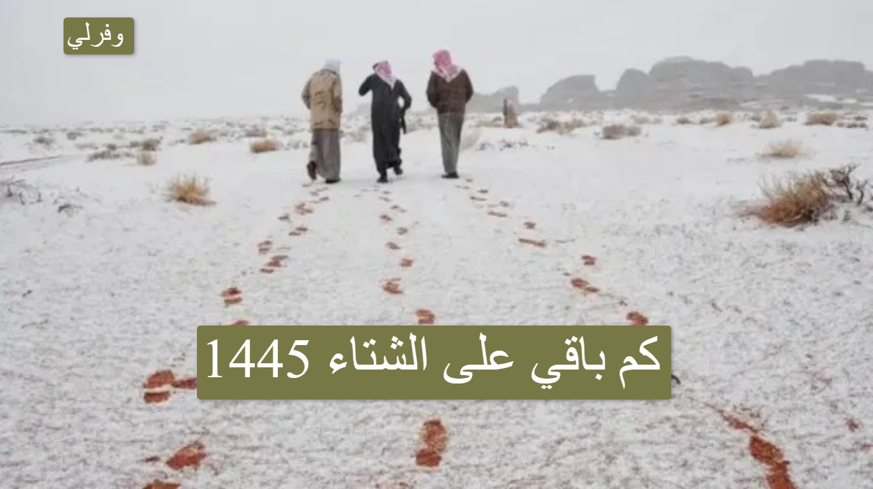 كم باقي عن الشتاء 1445 - دليل شامل عن موسم الشتاء في السعودية